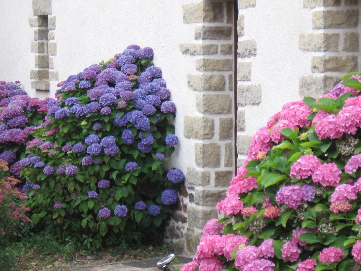 Perrault Gites Loscouet-sur-Meu Dış mekan fotoğraf