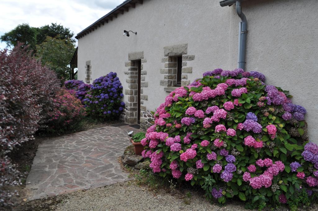 Perrault Gites Loscouet-sur-Meu Dış mekan fotoğraf